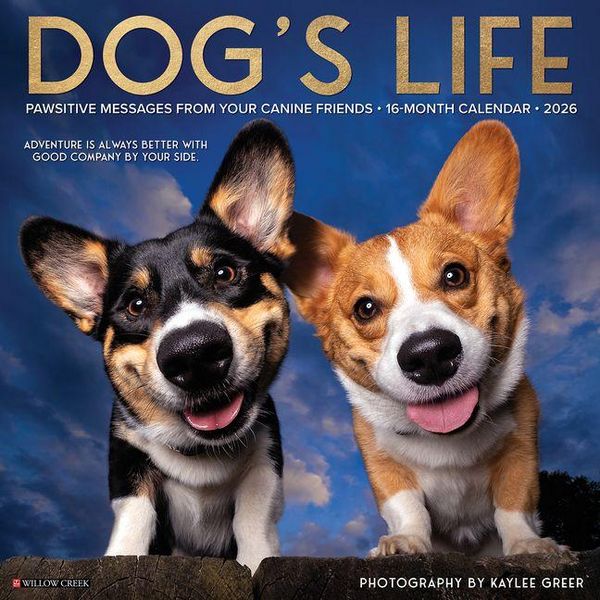 Produktbild: Dog's Life 2026 Wall Calendar