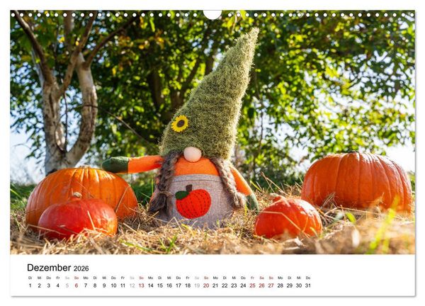 Produktbild: K&Uuml;RBIS KALENDER - Die sch&ouml;nsten K&uuml;rbisse des Jahres (Wandkalender 2026 DIN A3 quer), CALVENDO Monatskalender