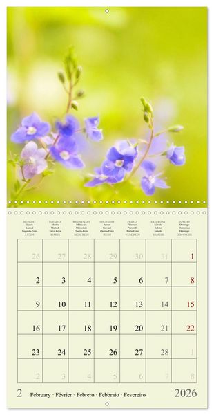 Produktbild: Fleurs du pays des r&ecirc;ves (Calendrier mural carr&eacute; 2026 30x30 cm) Calendrier double avec une page pour vos prises de notes