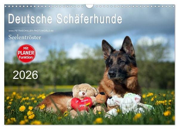 Deutsche Schäferhunde Seelentröster (Wandkalender 2026 DIN A3 quer), CALVENDO Monatskalender