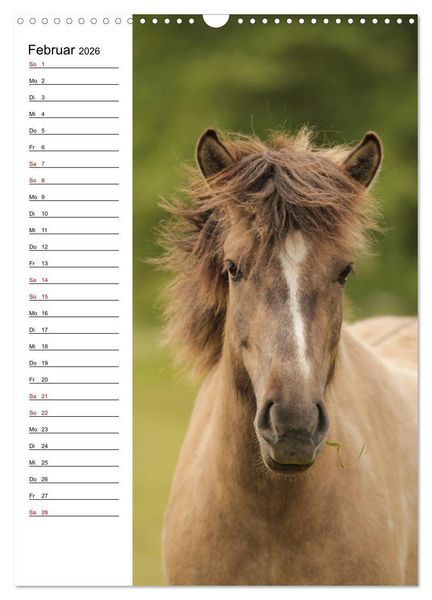 Produktbild: Isl&auml;nder im Portrait (Wandkalender 2026 DIN A3 hoch), CALVENDO Monatskalender