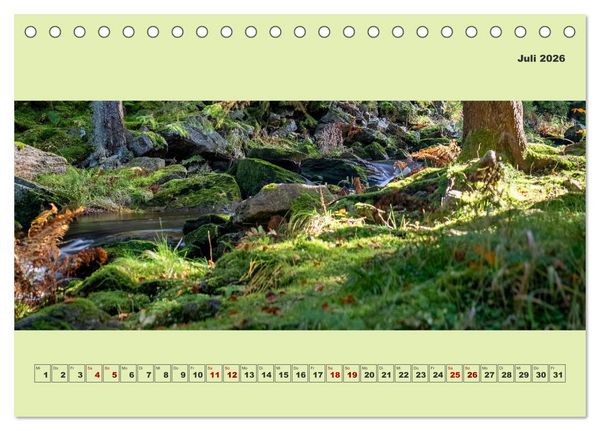 Produktbild: Die schwarze Pockau im Herbstgewand (Tischkalender 2026 DIN A5 quer), CALVENDO Monatskalender