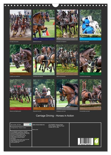 Produktbild: Carriage Driving - Horses in Action (Wall Calendar 2026 DIN A3 portrait), CALVENDO 12 Month Wall Calendar