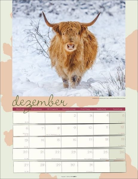 Produktbild: Kuh Kalender 2027