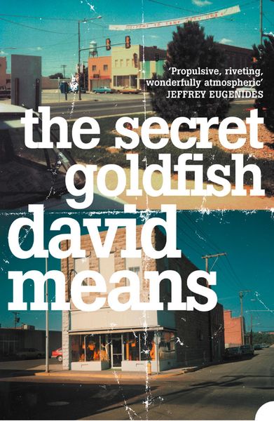 Produktbild: The Secret Goldfish