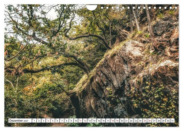 Produktbild: Nationalpark Harz - Mythen, Bergbau und Hexen (Wandkalender 2027 DIN A4 quer), CALVENDO Monatskalender