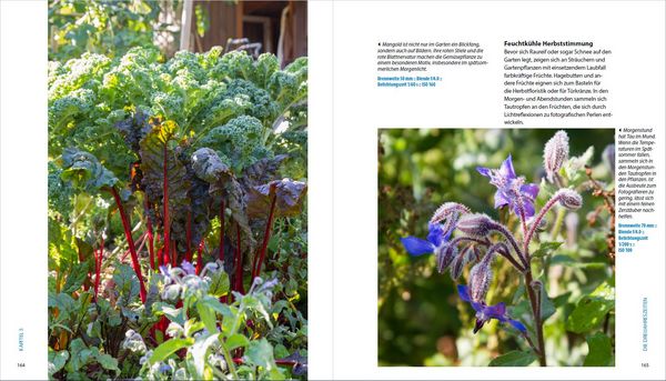 Produktbild: Garten-Shooting