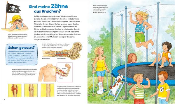 Produktbild: WAS IST WAS Junior Band 7. Mein K&ouml;rper