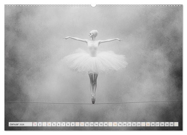 Produktbild: Im Pas de Deux mit der Stille (hochwertiger Premium Wandkalender 2026 DIN A2 quer), Kunstdruck in Hochglanz
