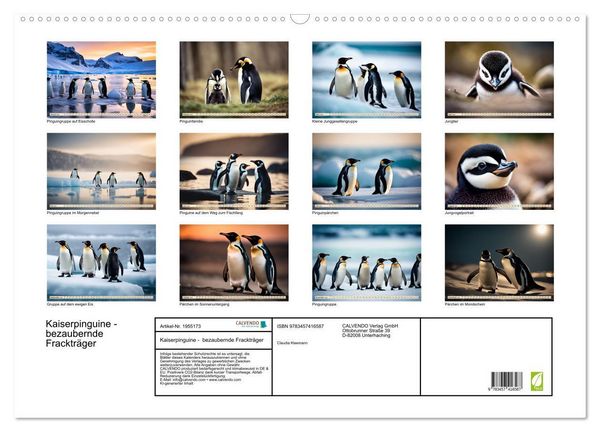 Produktbild: Kaiserpinguine - bezaubernde Fracktr&auml;ger (Wandkalender 2026 DIN A2 quer), CALVENDO Monatskalender