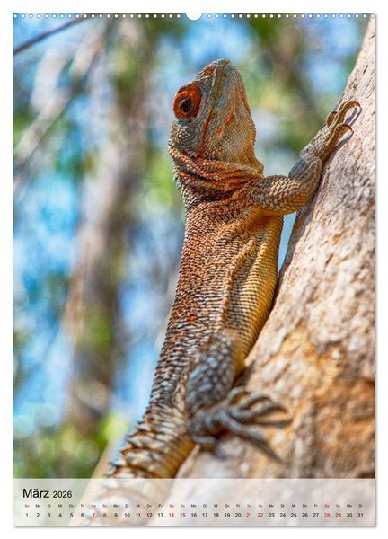 Produktbild: MADAGASKAR: Baobabs, Lemuren, Naturwunder (hochwertiger Premium Wandkalender 2026 DIN A2 hoch), Kunstdruck in Hochglanz
