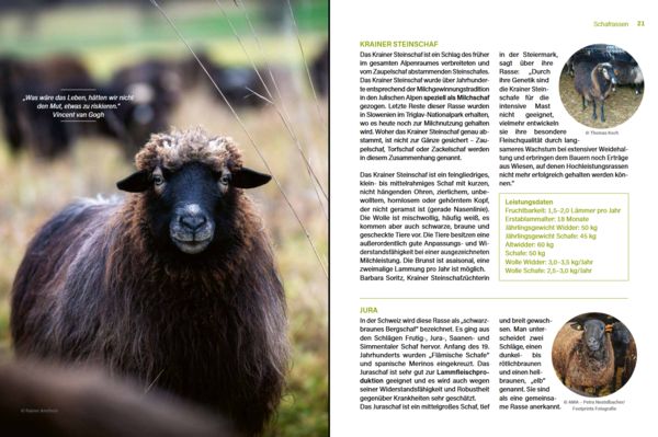 Produktbild: Alles vom Schaf!