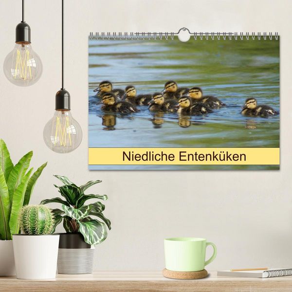 Produktbild: Niedliche Entenk&uuml;ken (Wandkalender 2026 DIN A4 quer), CALVENDO Monatskalender