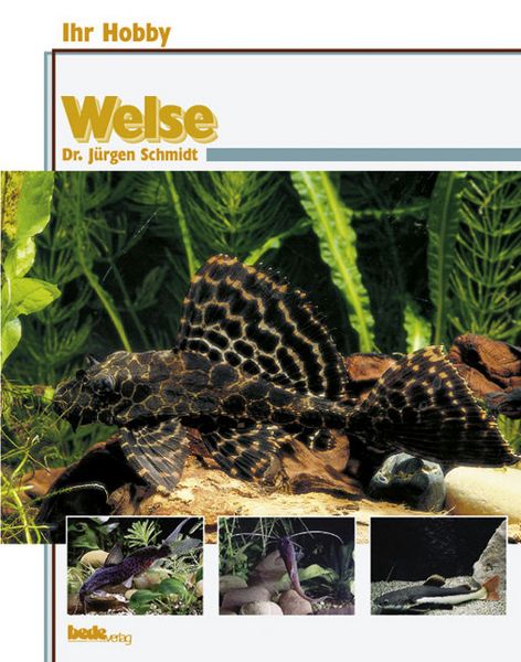 Produktbild: Welse
