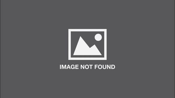 Produktbild: Illustoria: Cats & Dogs