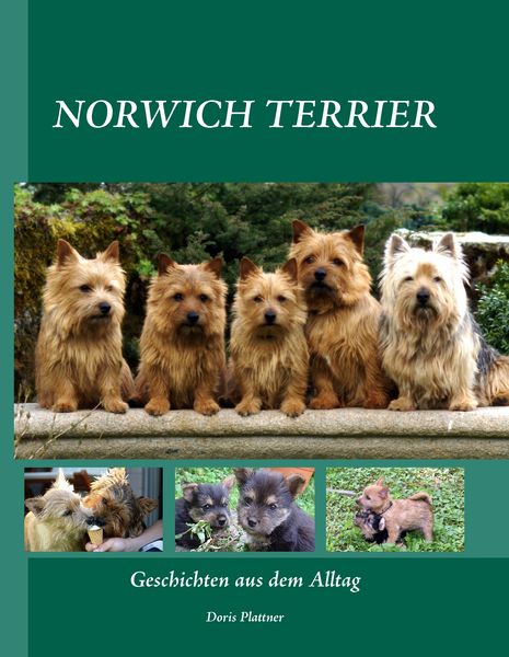 Produktbild: Norwich Terrier