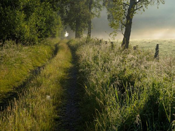 Produktbild: CALVENDO Puzzle Feldweg am fr&uuml;hen Morgen | 1000 Teile Lege-Gr&ouml;&szlig;e 64x48cm Foto-Puzzle f&uuml;r gl&uuml;ckliche Stunden