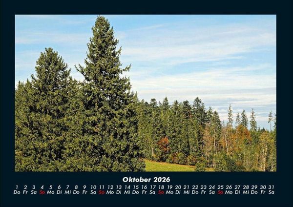 Produktbild: B&auml;ume 2026 Fotokalender DIN A4