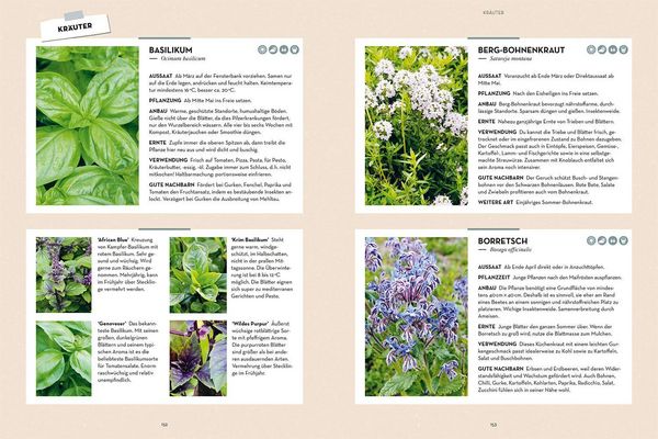 Produktbild: Selbstversorgung aus Garten und Natur