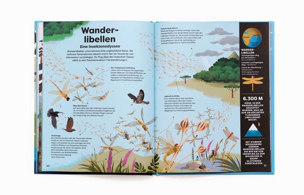 Produktbild: Tiere in deiner Umgebung
