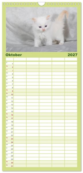 Produktbild: Familienplaner 2027 - Ragdoll Kitten mit 5 Spalten (Wandkalender, 21 x 45 cm) CALVENDO
