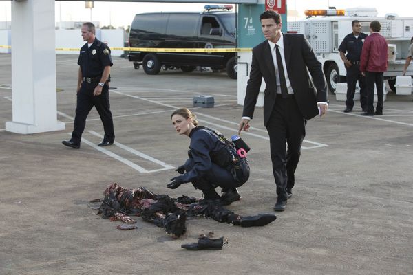 Produktbild: Bones - Season 5 [6 DVDs]