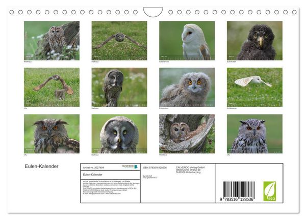 Produktbild: Eulen-Kalender (Wandkalender 2026 DIN A4 quer), CALVENDO Monatskalender