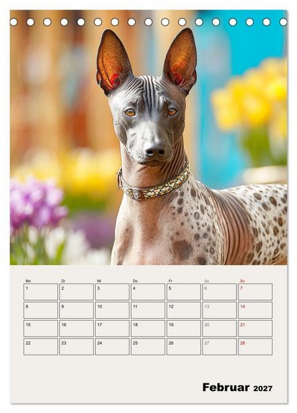Produktbild: Xolos. Seelenhunde aus Mexiko (Tischkalender 2027 DIN A5 hoch), CALVENDO Monatskalender