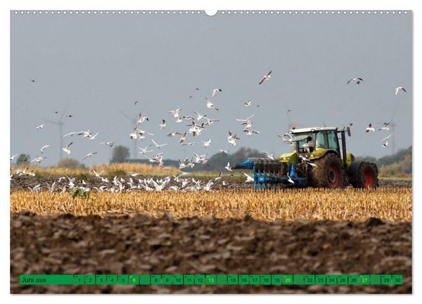 Produktbild: Landwirtschaft - Maschinen im Einsatz (hochwertiger Premium Wandkalender 2026 DIN A2 quer), Kunstdruck in Hochglanz