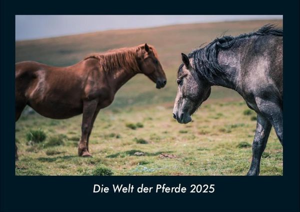Produktbild: Die Welt der Pferde 2025 Fotokalender DIN A4