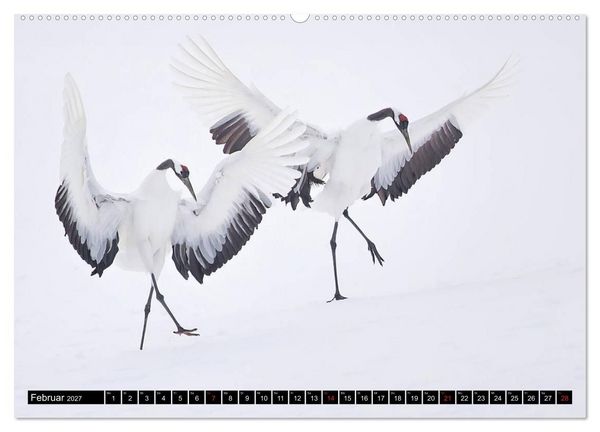 Produktbild: Japanische Vogelwelt im Winter (hochwertiger Premium Wandkalender 2027 DIN A2 quer), Kunstdruck in Hochglanz