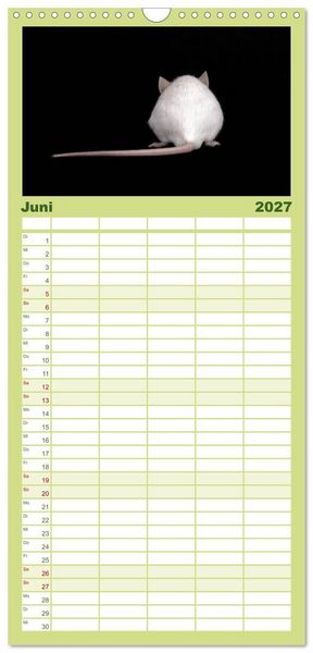 Produktbild: Familienplaner 2027 - S&uuml;&szlig;e M&auml;use und Coole Ratten mit 5 Spalten (Wandkalender, 21 x 45 cm) CALVENDO