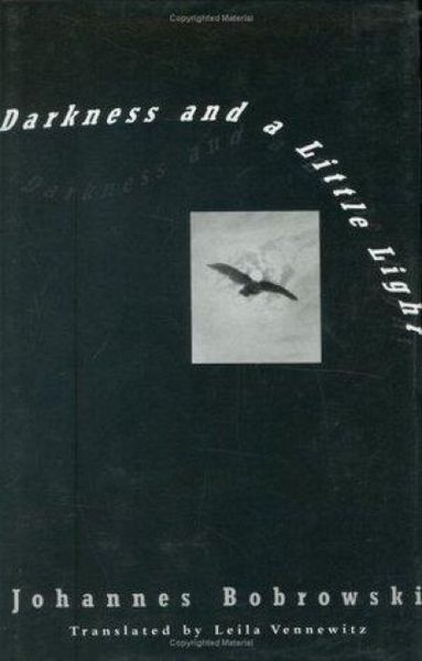 Produktbild: Darkness and a Little Light