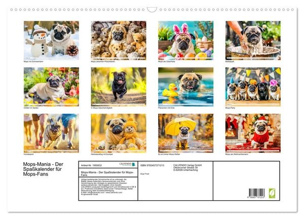 Produktbild: Mops-Mania - Der Spa&szlig;kalender f&uuml;r Mops-Fans (Wandkalender 2026 DIN A2 quer), CALVENDO Monatskalender