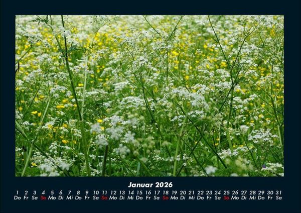 Produktbild: Blumentr&auml;ume 2026 Fotokalender DIN A4