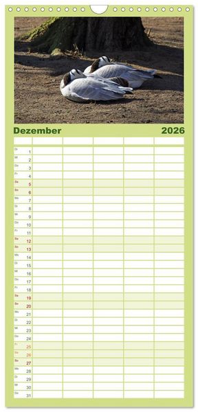 Produktbild: Familienplaner 2026 - Welt der Tiere mit 5 Spalten (Wandkalender, 21 x 45 cm) CALVENDO