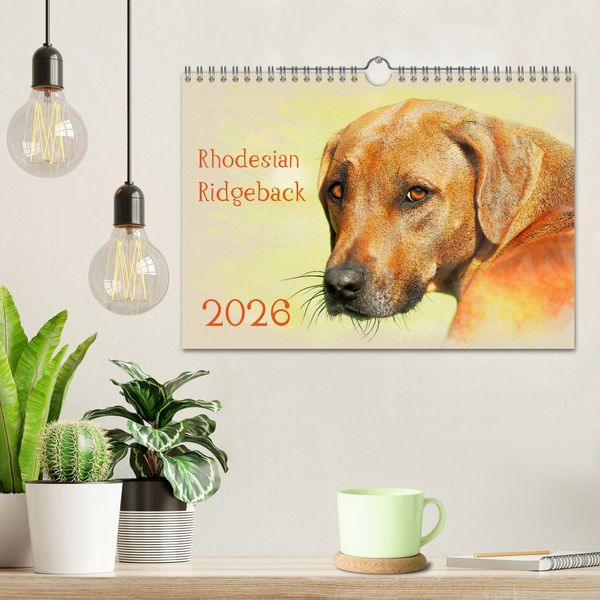 Produktbild: Rhodesian Ridgeback 2026 (Wandkalender 2026 DIN A4 quer), CALVENDO Monatskalender