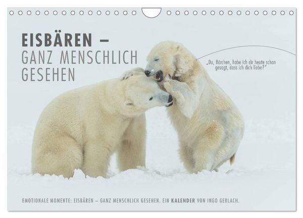 Produktbild: Emotionale Momente: Eisb&auml;ren - ganz menschlich gesehen. (Wandkalender 2026 DIN A4 quer), CALVENDO Monatskalender