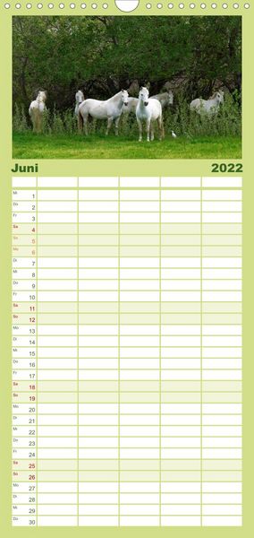 Produktbild: Familienplaner Faszination Pferde (Wandkalender 2022 , 21 cm x 45 cm, hoch)
