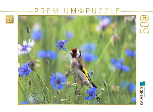 CALVENDO Puzzle Stieglitz | 500 Teile Lege-Größe 48 × 36 cm Foto-Puzzle für Erwachsene