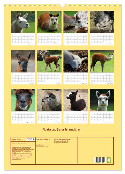 Produktbild: Alpaka und Lama Terminplaner (Wandkalender 2026 DIN A2 hoch), CALVENDO Monatskalender