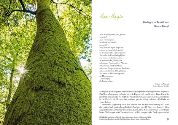Produktbild: Der Moosgarten
