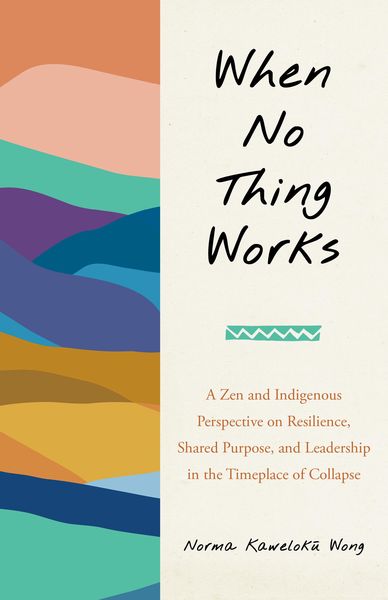 Produktbild: When No Thing Works