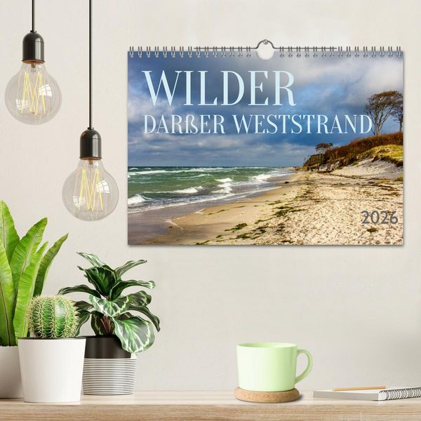 Produktbild: Wilder Dar&szlig;er Weststrand (Wandkalender 2026 DIN A4 quer), CALVENDO Monatskalender