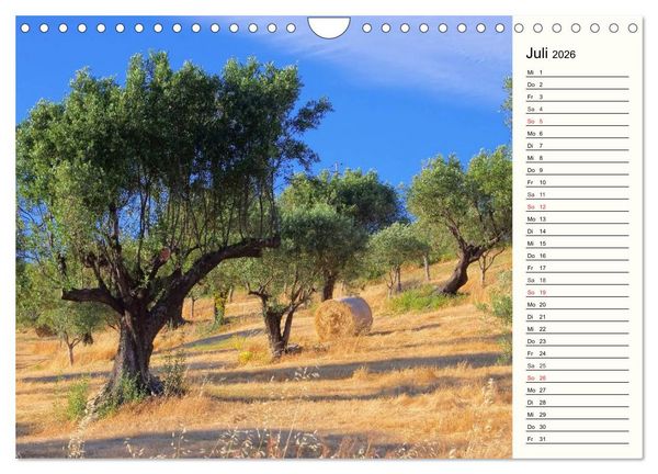 Produktbild: Kalabrien (Wandkalender 2026 DIN A4 quer), CALVENDO Monatskalender