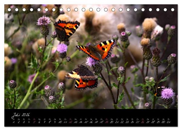 Produktbild: Zeit der Natur - Ein Augenblick zur Ewigkeit (Tischkalender 2026 DIN A5 quer), CALVENDO Monatskalender