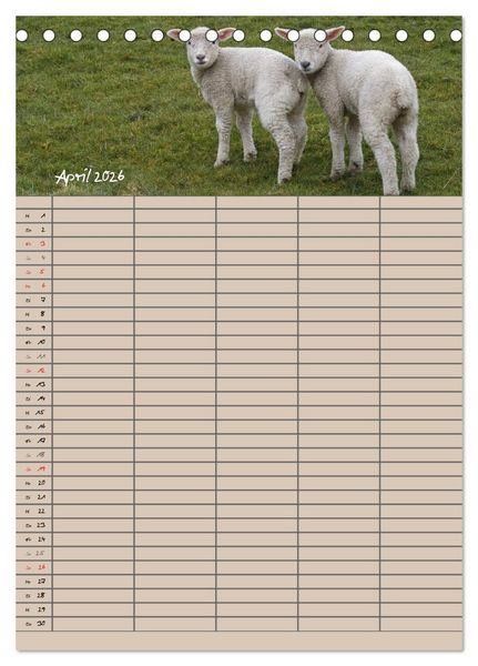Produktbild: Der bel&auml;mmerte Familienplaner (Tischkalender 2026 DIN A5 hoch), CALVENDO Monatskalender