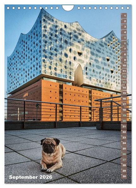 Produktbild: M&ouml;pse in Hamburg (Wandkalender 2026 DIN A4 hoch), CALVENDO Monatskalender