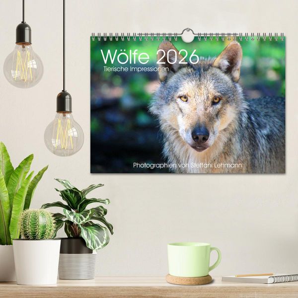 Produktbild: W&ouml;lfe 2026. Tierische Impressionen (Wandkalender 2026 DIN A4 quer), CALVENDO Monatskalender