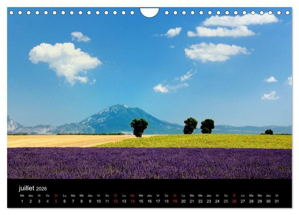 Produktbild: Paysages de Provence (Calendrier mural 2026 DIN A4 vertical), CALVENDO calendrier mensuel